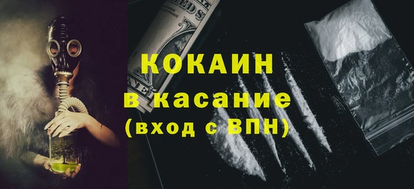 индика Зеленокумск