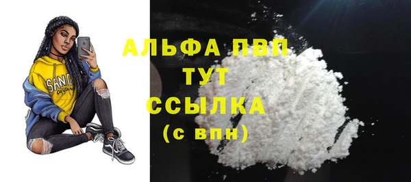 амф Пересвет