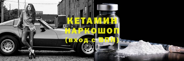 индика Зеленокумск