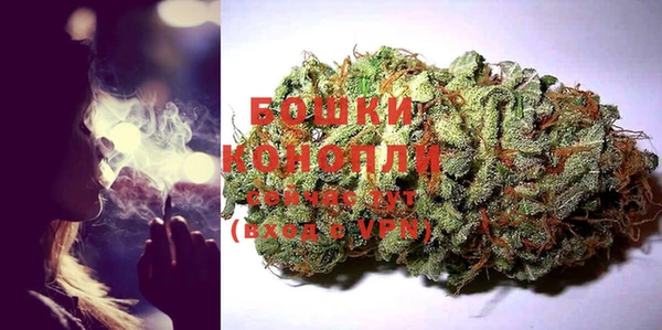 амф Пересвет