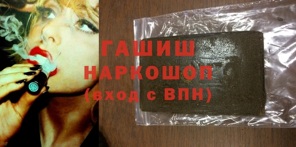 гашик Пестово