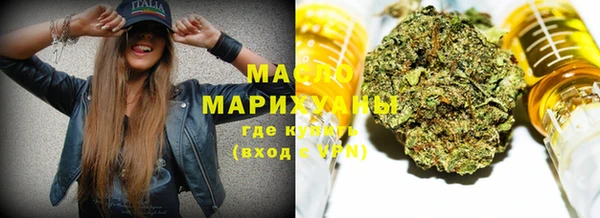 гашик Пестово