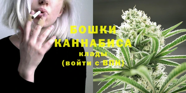 гашик Пестово
