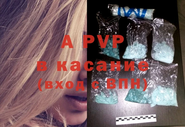 PSILOCYBIN Переславль-Залесский