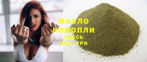 гашик Пестово