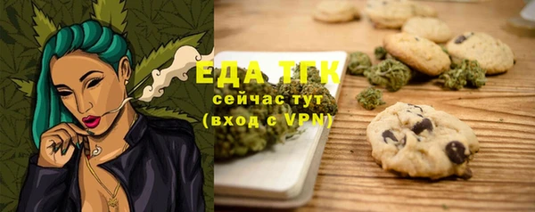 гашик Пестово