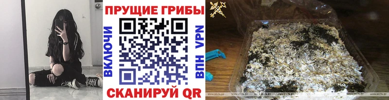 Галлюциногенные грибы прущие грибы  Каменка 
